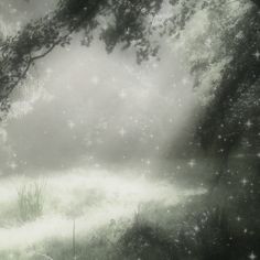 an image of a forest with stars in the sky and grass on the ground at night