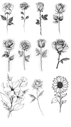 several different types of flowers are shown in black and white