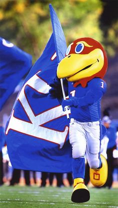 a football player with a big bird mascot on his head and holding a flag in the air