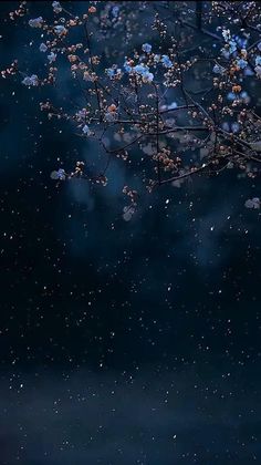 the sky is full of stars and some trees are blooming in the foreground