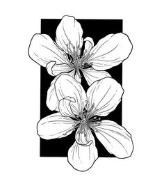 three flowers are in the shape of a rectangle on a black and white background