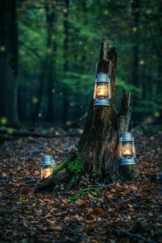 two lantern lights sitting on top of a tree stump in the woods