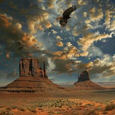 Monument Valley Breathtaking Panorama Pictures Scenic Nature, Mountain Pictures, Scenic Photos, Gallery Owner, Nature Scenes, Monument Valley, Custom Framing, Natural Beauty