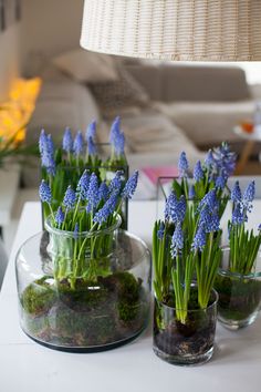 three glass vases filled with blue flowers on top of a white table next to a lamp