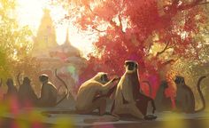 three monkeys sitting on the ground in front of some trees with their tails curled up