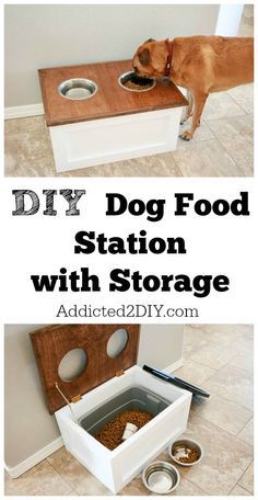 a dog eating out of a food station with the words diy dog food station on it