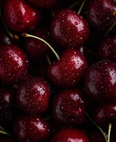 closeup of cherries with water droplets on them