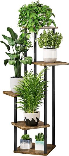 three tiered shelves with plants on them