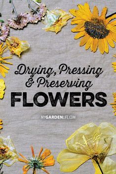 the words drying, pressing and preserving flowers are surrounded by sunflowers