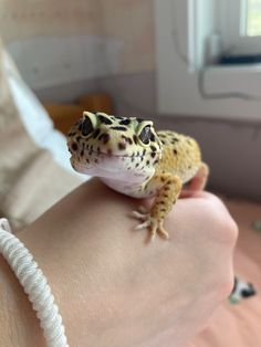 a small lizard sitting on top of someone's arm