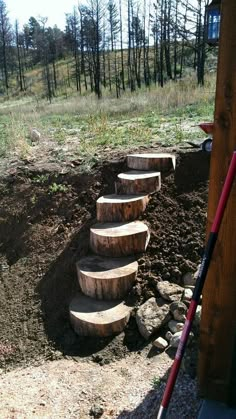 there is a set of wooden steps in the woods