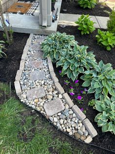 a garden with rocks and plants in it