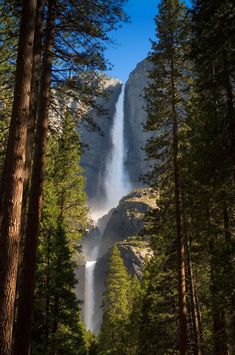 a tall waterfall towering over a forest filled with lots of trees and surrounded by tall pine trees