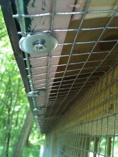 the inside of a caged in area with trees