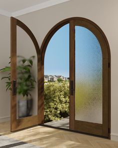 an open wooden door with glass on the inside and outside, in front of a green plant