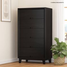 a black chest of drawers next to a potted plant