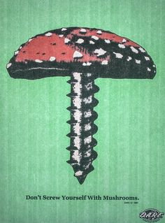 a green poster with an image of a mushroom on it's side and the words don't screw yourself with mushrooms