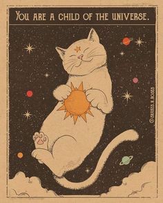 an image of a cat that is in the sky with stars on it's back