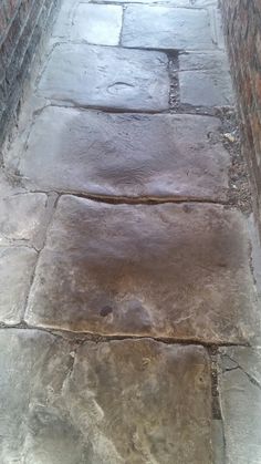 an image of a stone walkway that is wet