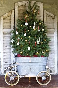 a small christmas tree sitting in a bucket