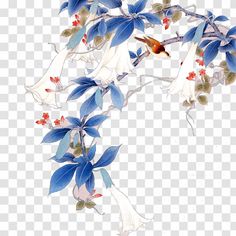 blue and white flowers on a branch with red berries, transparent background png clipart