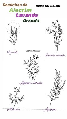 an image of the names of plants in spanish