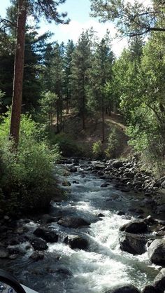 a river running through a forest filled with lots of rocks and trees on the side of it