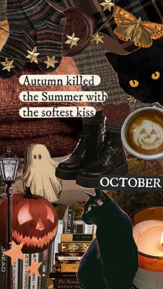 a collage of halloween related items including pumpkins, cats and other things in the background