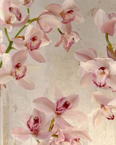 several pink flowers in a clear vase on a table