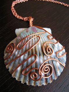 an image of a seashell with copper wire on it's front and back