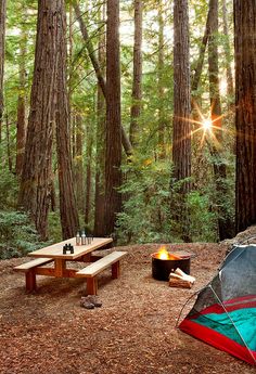 an open door shows a picnic table and fire pit in the middle of a forest