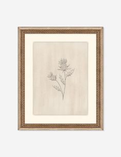 a drawing of two flowers in a brown frame