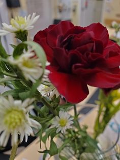 a vase filled with red and white flowers