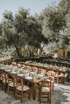 an outdoor dining area with wooden tables and chairs, surrounded by olive trees in the background