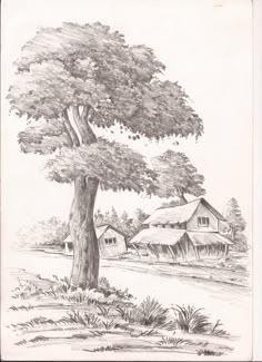 a pencil drawing of a tree and some houses