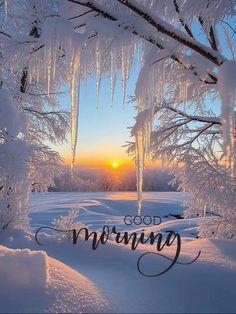 the sun is setting behind icicles on trees in the snow with words good morning