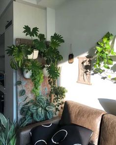 a living room filled with lots of potted plants on top of a wall next to a couch