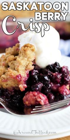 a close up of a plate of food with berries and ice cream on the top