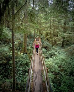 a woman walking across a wooden bridge in the middle of a forest with lots of trees