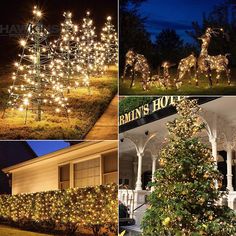 christmas lights decorate trees and shrubs in front of a house at night, and on the lawn