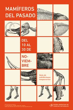 an orange poster with pictures of animals and words that say, mamiferos del paso