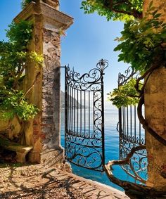 an open gate with trees and water in the background is featured on this instagram page