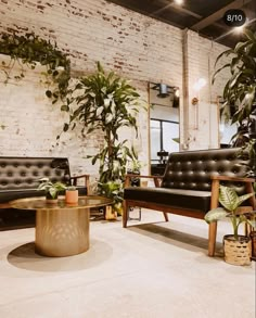 a living room filled with lots of plants next to a white brick wall and floor