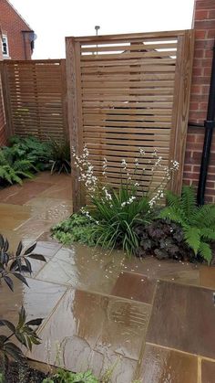 a small garden with plants and flowers in the rain