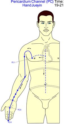 an image of a man's body with lines pointing to the right and left sides