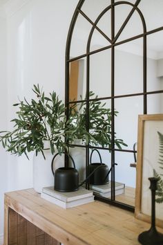 a potted plant sitting on top of a wooden table next to a framed mirror