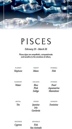 the pisces poster is shown in black and white, with an image of fish swimming