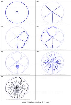 four different types of flowers and their petals are shown in this drawing lesson for kids