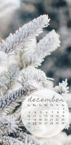 a december calendar with the words december written on it and a pine tree in the background