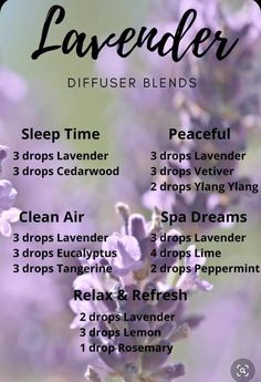 Lavender Diffuser Blends, Lavender Diffuser, Essential Oils Focus, Essential Oil Perfumes Recipes, Essential Oil Combinations, Doterra Essential Oils Recipes, Essential Oil Diffuser Blends Recipes, Essential Oil Remedy, Essential Oils Guide